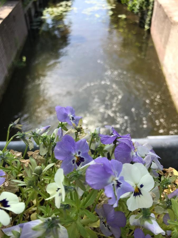B&B Zaligheid Lage Zwaluwe Bagian luar foto